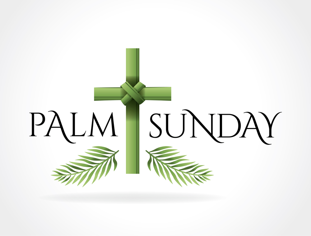 Fr John’s Reflection Palm Sunday Australian Catholic Cursillo Movement
